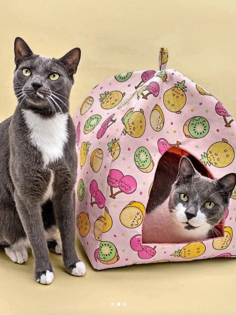 ✨NWT✨ Pusheen Cat Kit Foldable Bed Cubby (Summer 2024 - Fruit) Fruit Bed Cubby